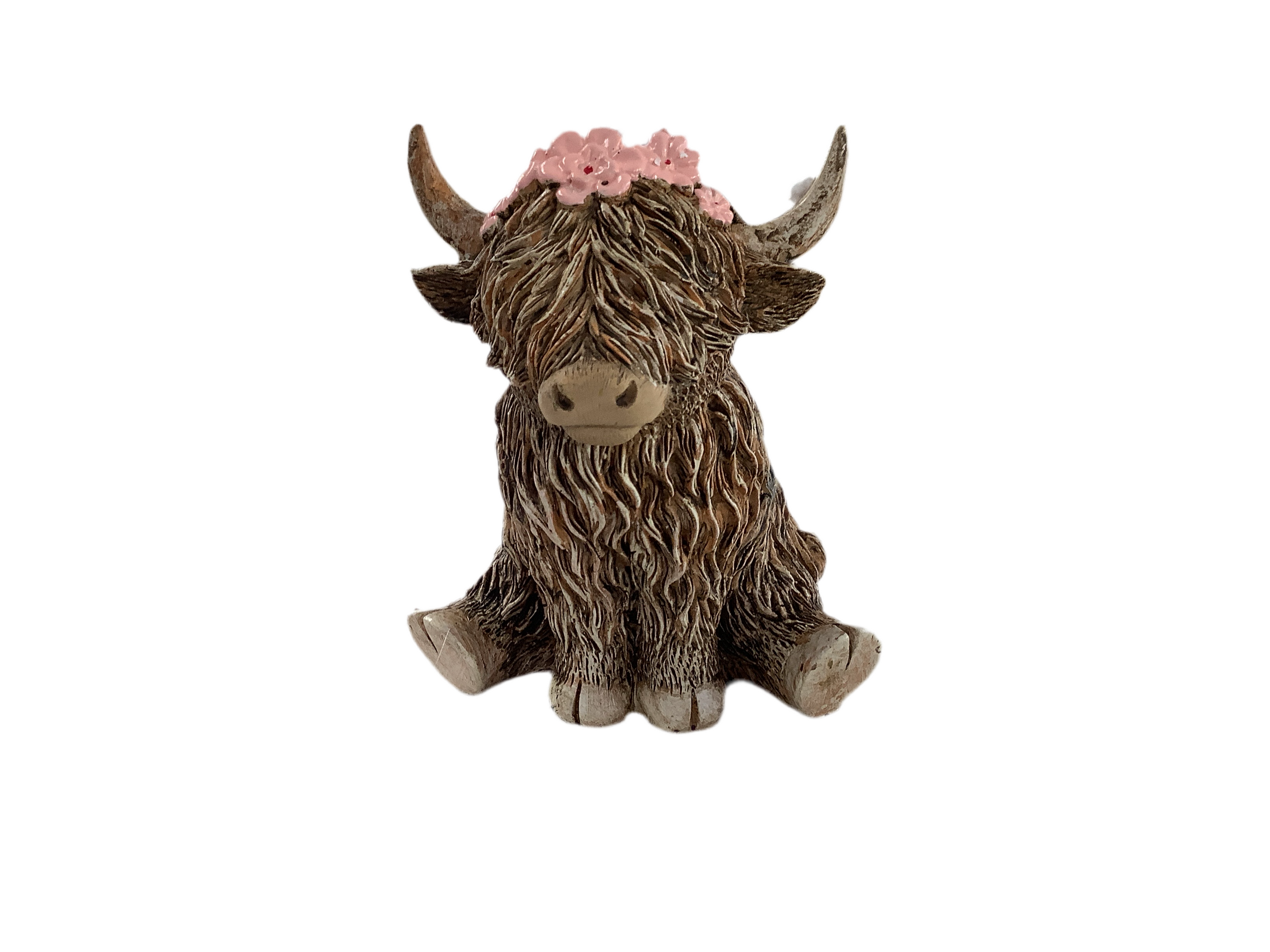 Happy Highland cow