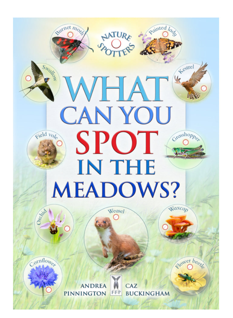 Book What Can You Spot In The Meadows?