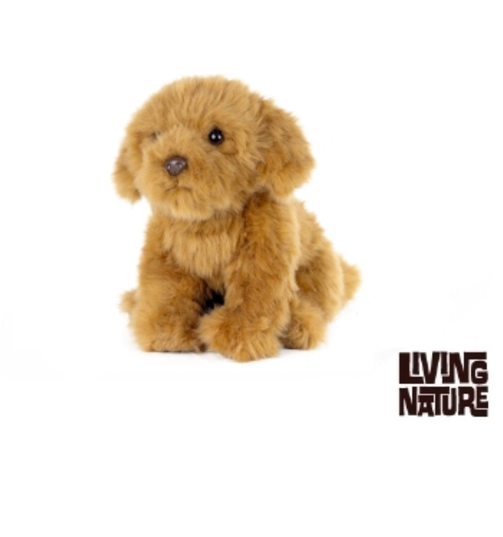 Cavapoo - Living Nature