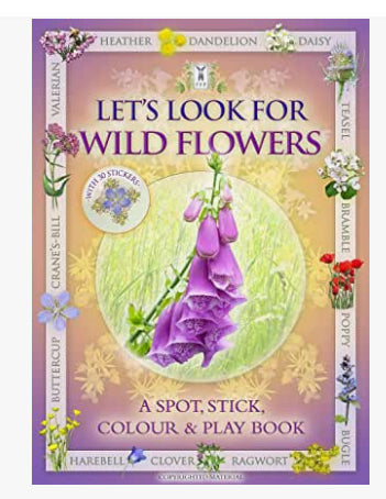 Book - Lets’ Look for Wild Flowers