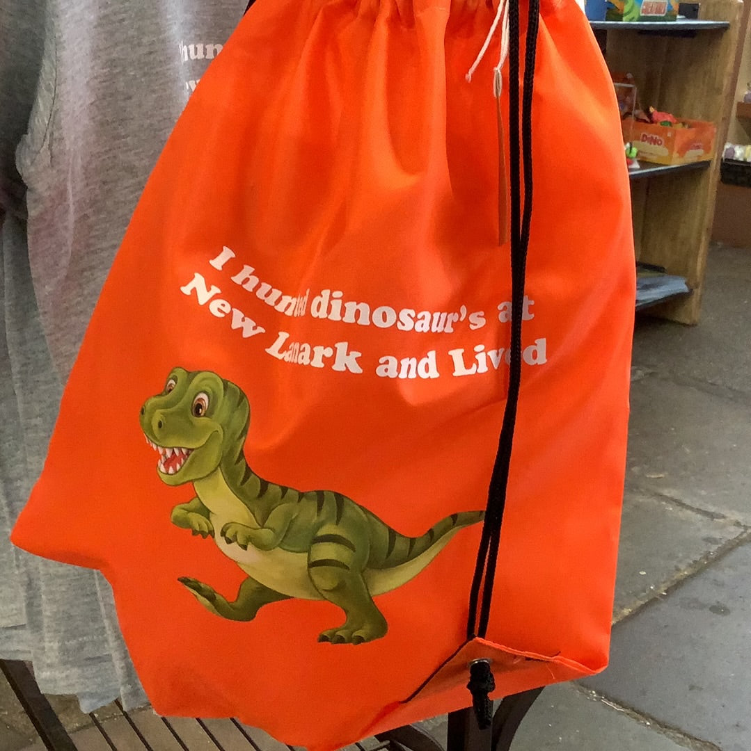 Dino bag
