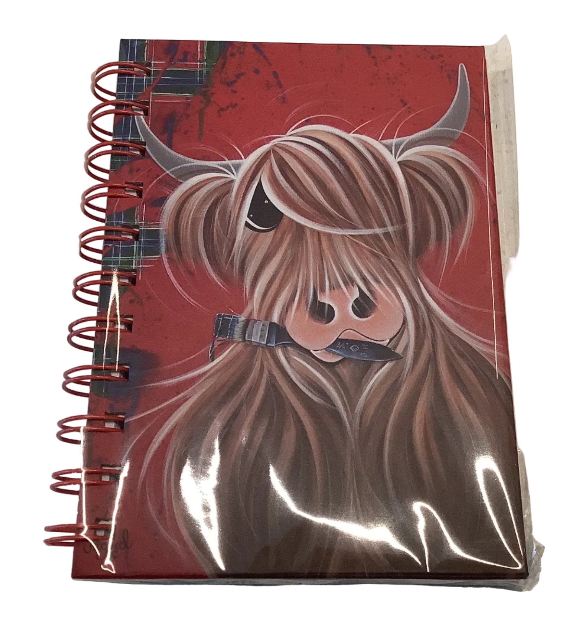 McMoos 100 page Notebook
