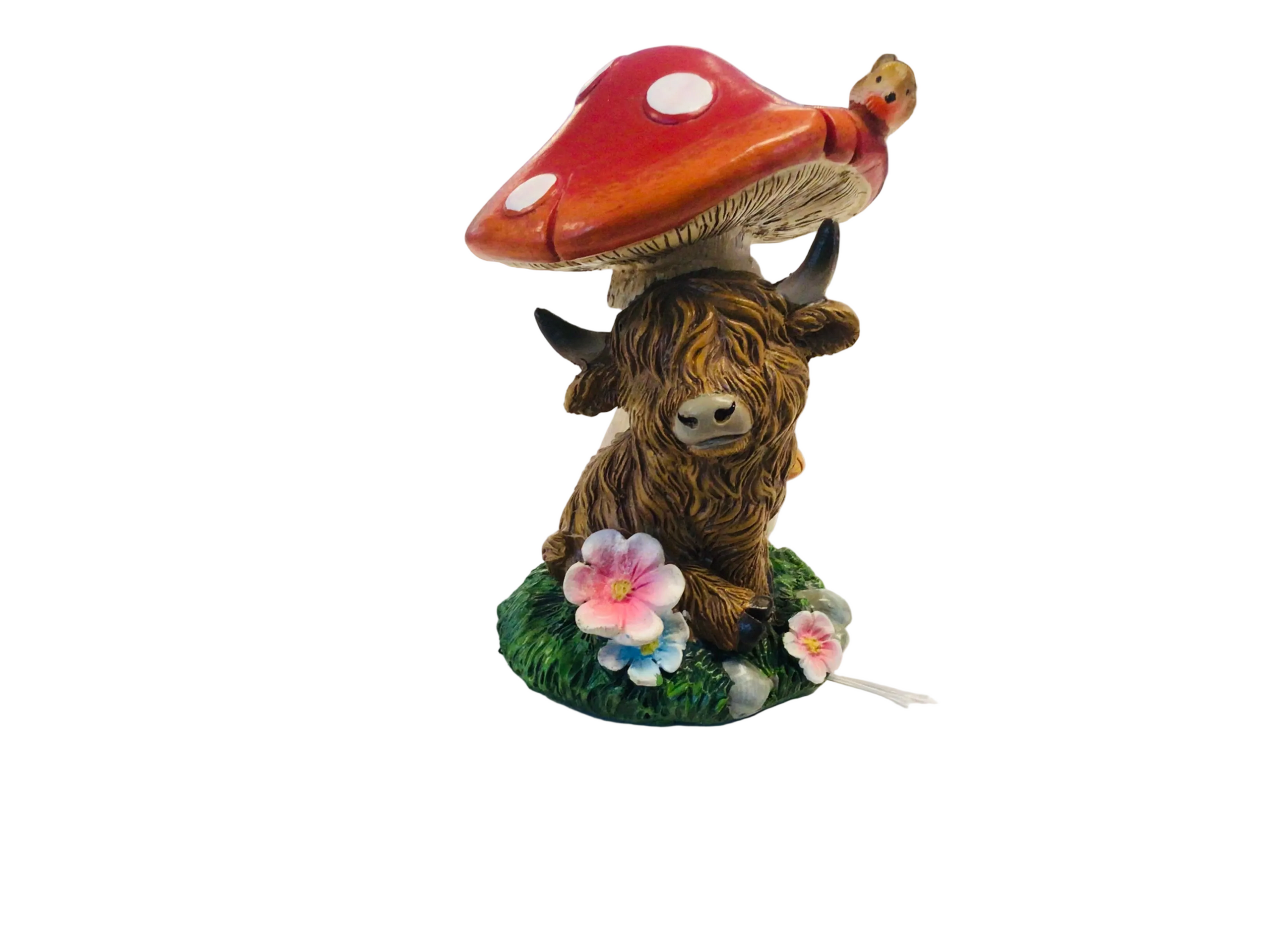 Moo-Shroom Highland Coo Sitting
