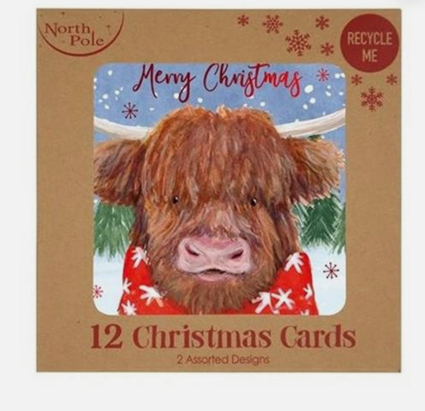 Highland Cow 12 Card Pack