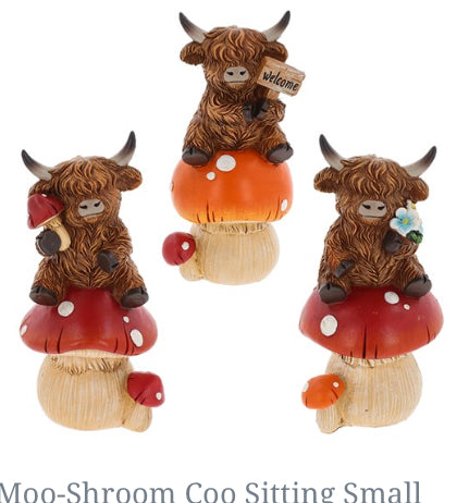 Moo-Shroom Highland Coo Sitting