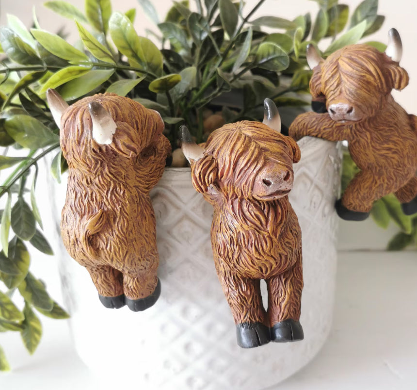 Novelty Highland Coo Plant Pot Hangers