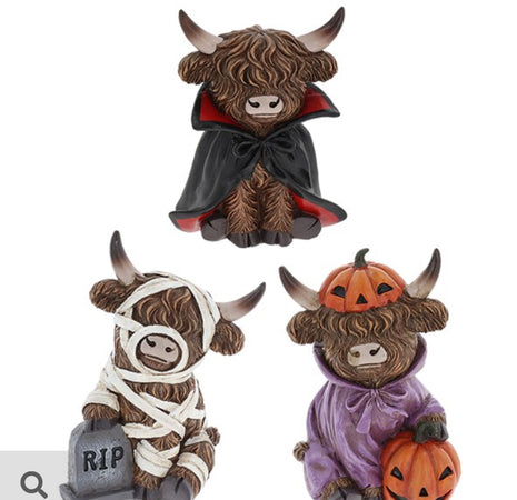 Halloween Coo’s Spooky Costume