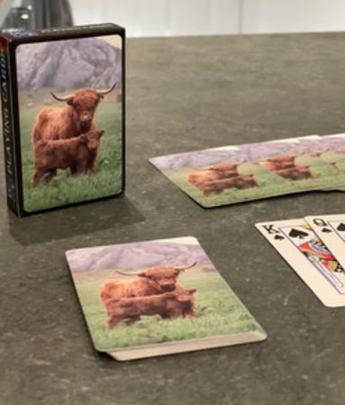 Playing Cards