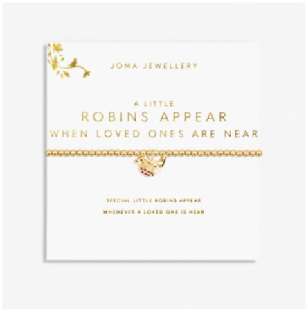 Joma A Little Robins Appear When Loved Ones Are Near