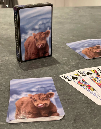 Playing Cards