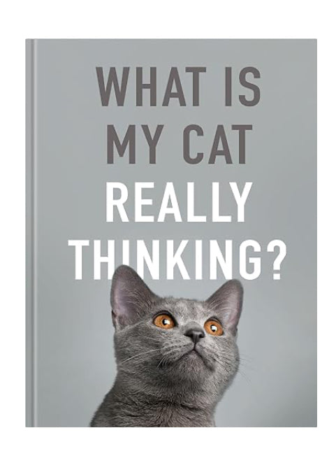 Book What Is My Cat Really Thinking