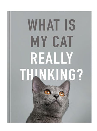 Book What Is My Cat Really Thinking