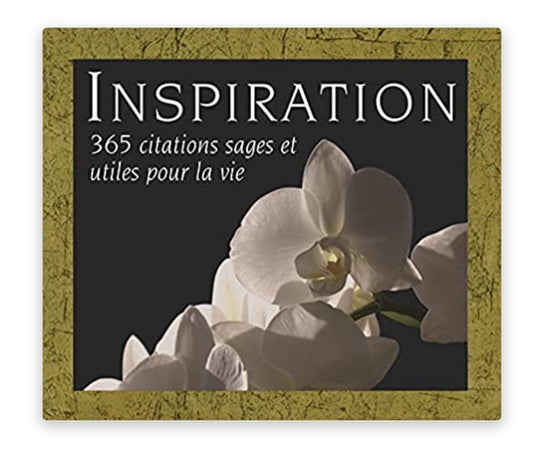 Book - 365 Inspiration Days