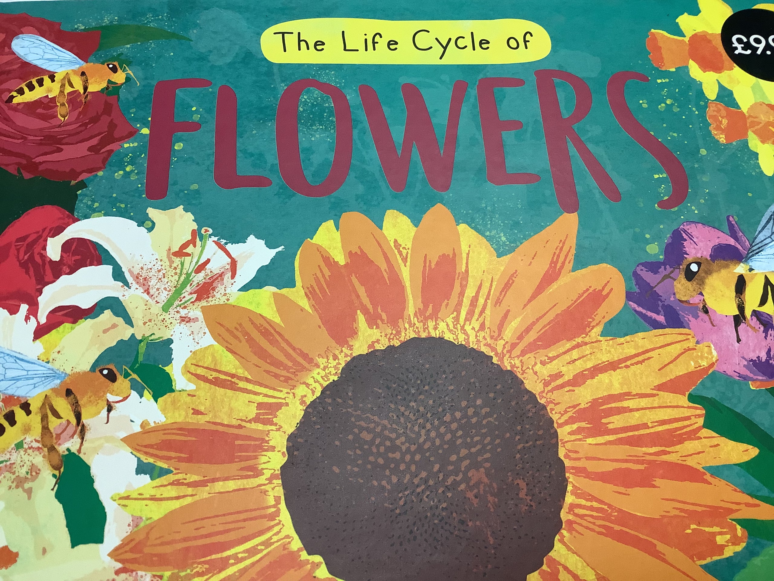 Book The Life Cycle Of Flowers