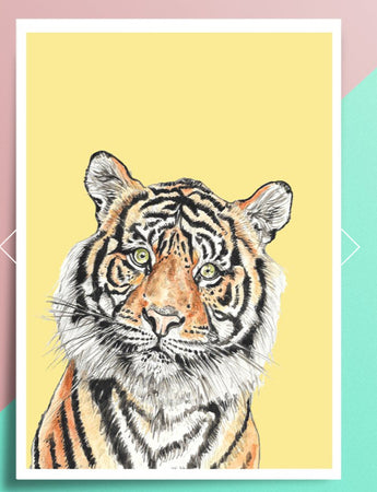 Curious Tiger A5 prints various colour ways
