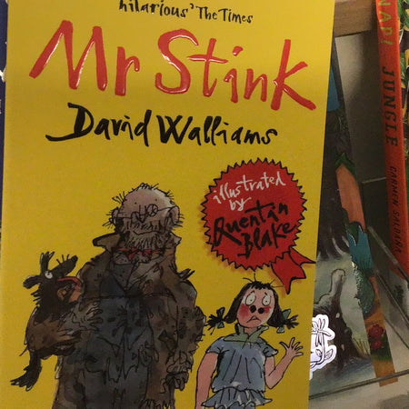 Book - Mr Stink by David Williams