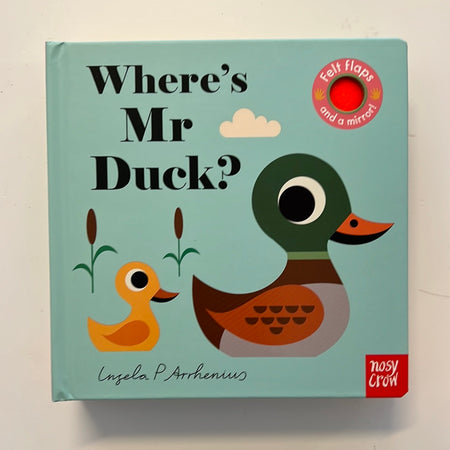 Book - Where’s Mr Duck