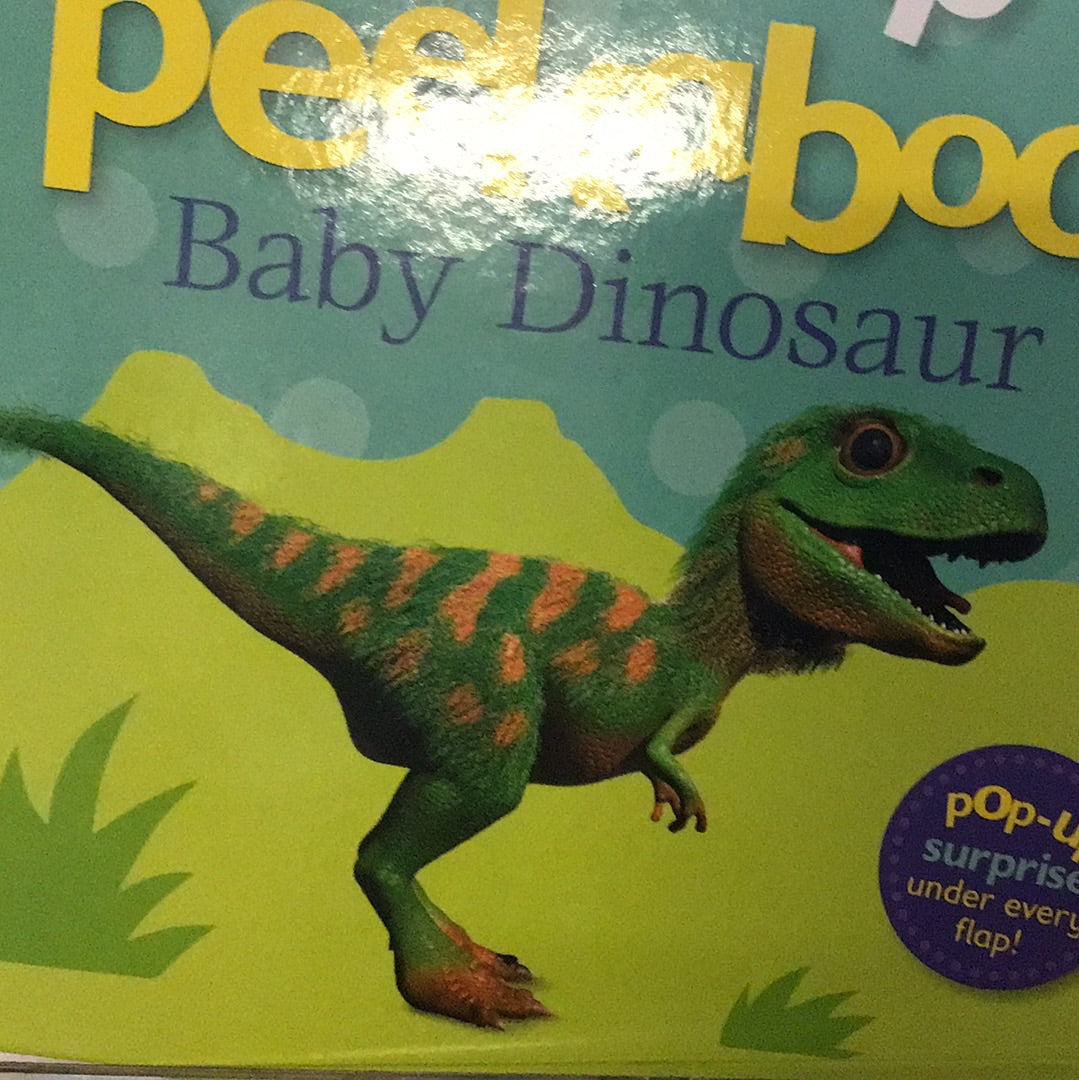 Book - Pop Up Peekaboo! Baby Dinosaur