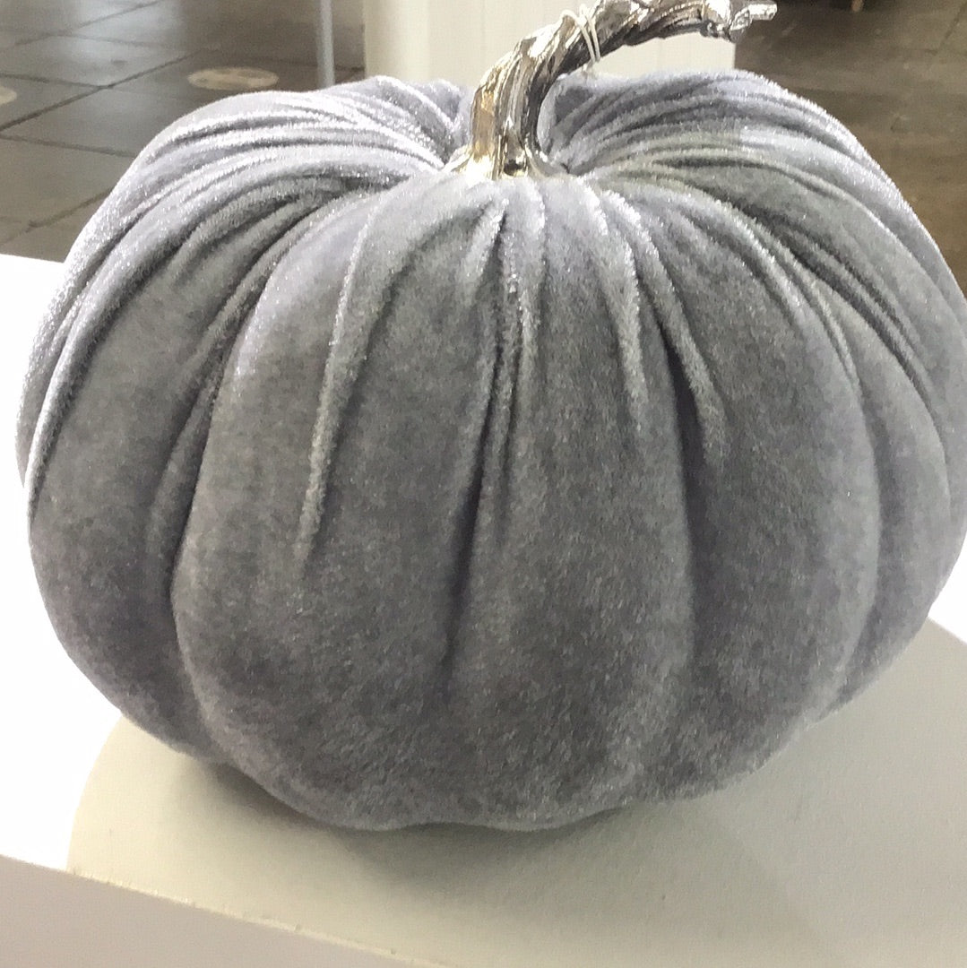 Velvet Pumpkin with silver stem