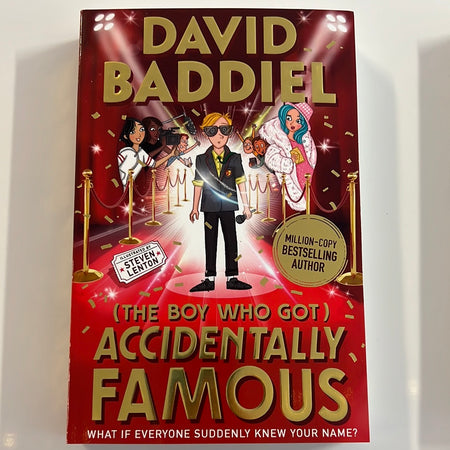 Book - David Baddiel, Accidentally Famous