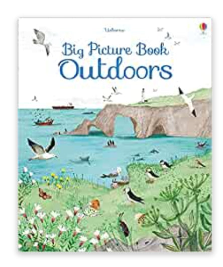 Book - The Big Picture Book Outdoors
