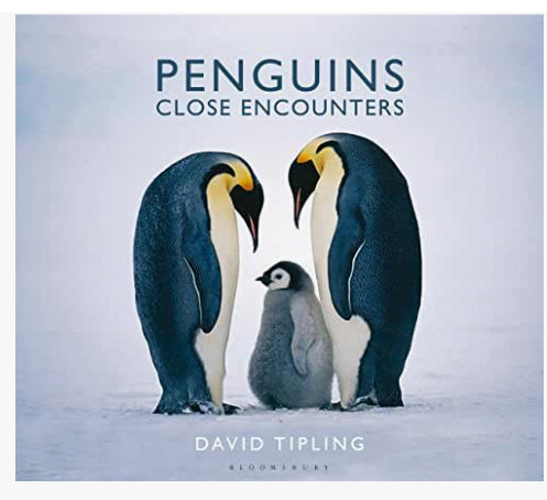 Book - Penguins Close Encounters