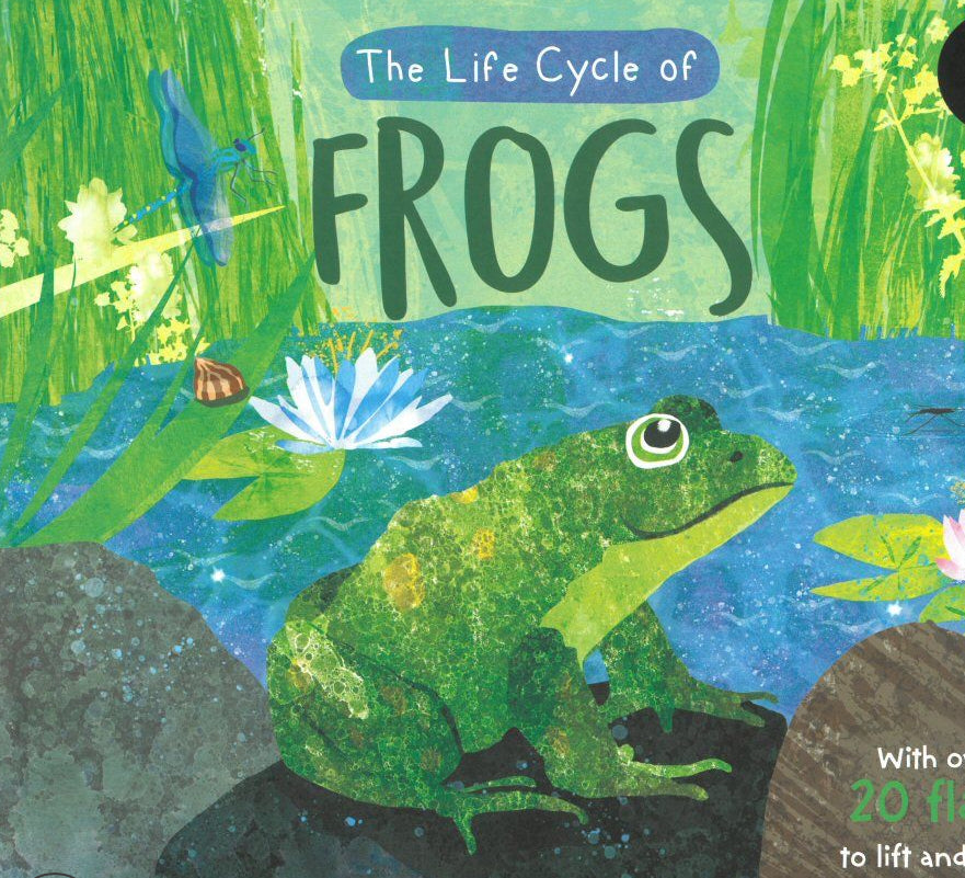 Book - The Life Cycle of Frogs
