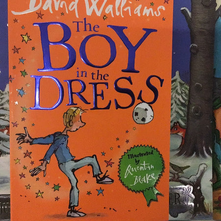 Book - The Boy in the Dress by David Williams