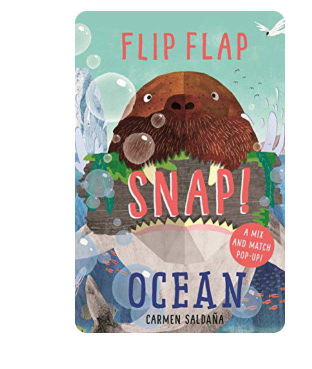 Book - Flip Flap Snap Book