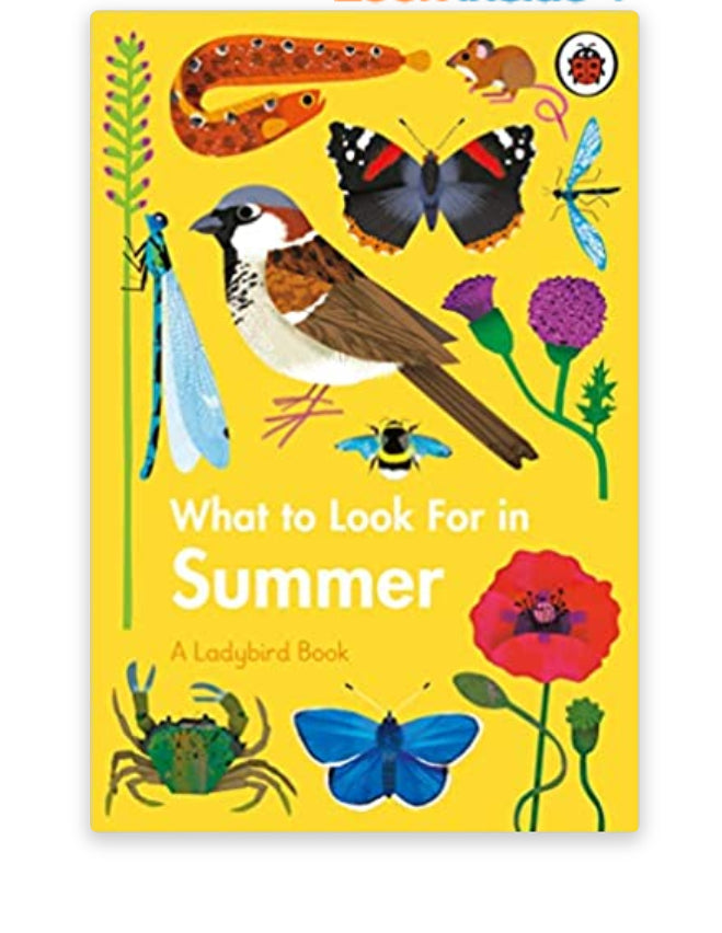 Book Ladybird what To Look For In The Summer