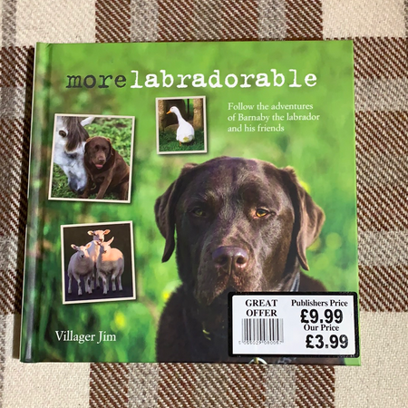 Book - More Labradorable - New Lanark Spinning Company
