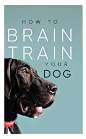 Book - How To Brain Train Your Dog